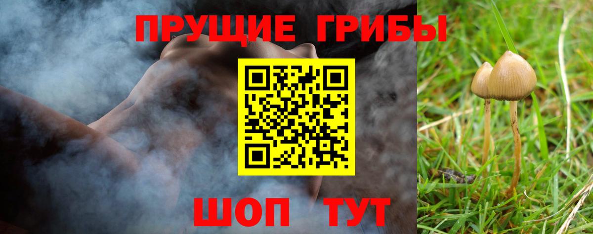 где продают наркотики  Вход с VPN  Петропавловск-Камчатский  Галлюциногенные грибы GOLDEN TEACHER 