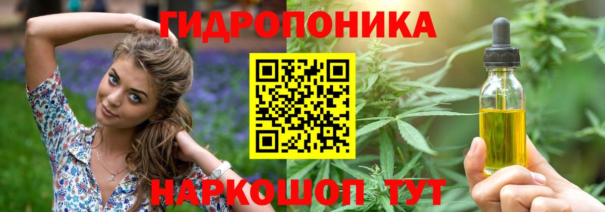 Бошки марихуана MAZAR  Бошки марихуана семена  Канабис план  Вход с VPN  Петропавловск-Камчатский 