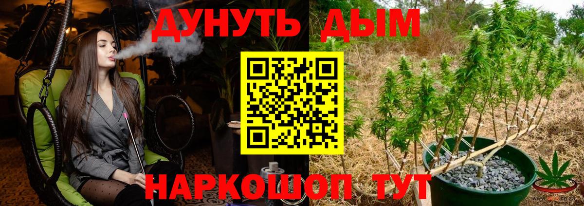 Бошки марихуана марихуана Петропавловск-Камчатский